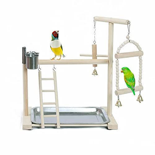 KLMYTCWSD Papagei Vogel Spielplatz Holz Barsch Gym Vogelständer Laufstall Leiter mit Feeder Cups Vogel Nymphensittich Spielzeug Übungsspiel(A:36 * 23 * 40CM) von KLMYTCWSD