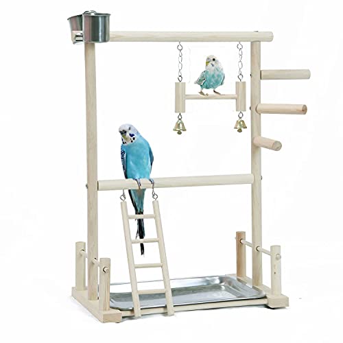 KLMYTCWSD Papagei Vogel Spielplatz Holz Barsch Gym Vogelständer Laufstall Leiter mit Feeder Cups Vogel Nymphensittich Spielzeug Übungsspiel(B:36 * 23 * 53CM) von KLMYTCWSD