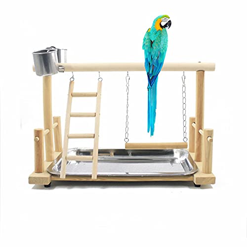 KLMYTCWSD Papagei Vogel Spielplatz Holz Barsch Gym Vogelständer Laufstall Leiter mit Feeder Cups Vogel Nymphensittich Spielzeug Übungsspiel(D:36 * 23 * 25CM) von KLMYTCWSD