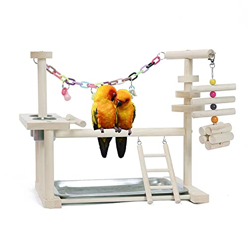 KLMYTCWSD Papagei Vogel Spielplatz Holz Barsch Gym Vogelständer Laufstall Leiter mit Feeder Cups Vogel Nymphensittich Spielzeug Übungsspiel(E:36.5 * 25.5 * 35CM) von KLMYTCWSD