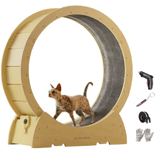 Große Katze Übung Rad, Katze Laufband, Katze Running Wheel Silent Bewegung, Katze Activity Toy, Cat Interactive, Katze Gewichtskontrolle (M, geeignet für 5-7kg) von KLUFO