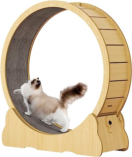 Katzenlaufrad, Katzenlaufband, Übungsrad, niedliche Katzenmöbel, Haustierspielzeug, Katzenspielzeug, Gewichtsverlustgerät für Katzen von KLUFO