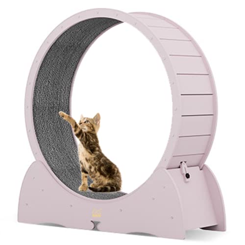 Katzenlaufrad Innen, Katzenlaufband mit Verriegelungsmechanismus Keine Installation, TPE Geräuschlose Rolle, Niedliches Katzenlaufrad für Haustierverlust und tägliche Übung (Rosa) von KLUFO