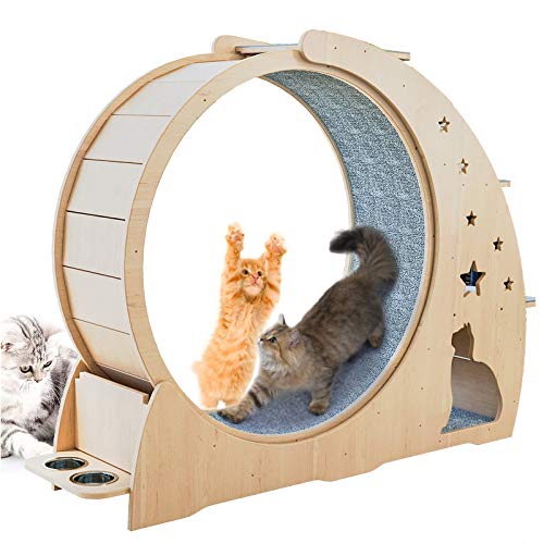 Katzensport Laufrad, Katzenrad Holz-Kletterrahmen, Katzenstreu Fitness-Rad, überdimensionale Rolle Katze Indoor Activity Center, groß von KLUFO