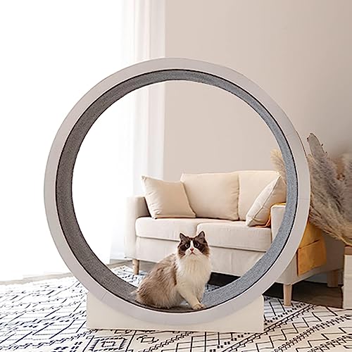 Roue de Course Pour Chat, Cadre d'escalade Pour Chat, meubles Pour animaux de compagnie, Planche à gratter Pour Chat, étagère Rampante, Rotation de la Roue, jouets de perte de poids von KLUFO