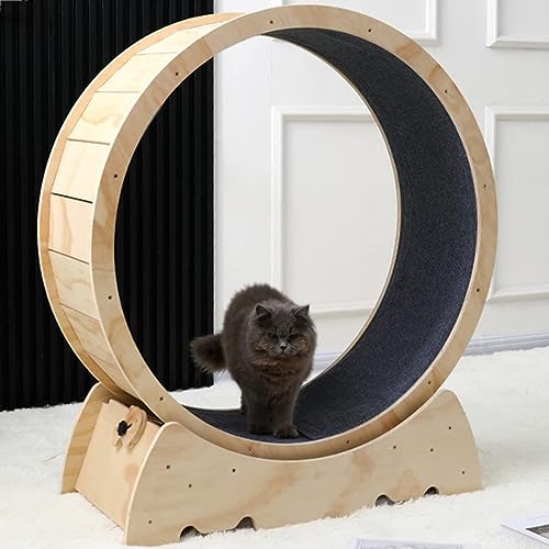 Roue de Course Pour Chat, Roue d'exercice Pour Chat, Roue d'exercice Pour Chats d'intérieur, Tapis roulant Avec Roue d'exercice Pour Chat Roue de Chat de Couleur Bois Naturel Pour Piste moquettée von KLUFO