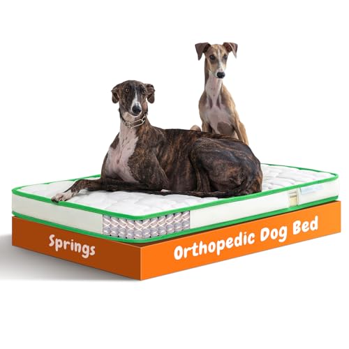 KOAZY Orthopädisches Hundebett, gemütliches Deluxe-Hundebett für Hunde bis zu 54 kg, strapazierfähige Feder und bequemer Schaumstoff, mit abnehmbarem und waschbarem Bezug, rutschfeste Unterseite, von KOAZY