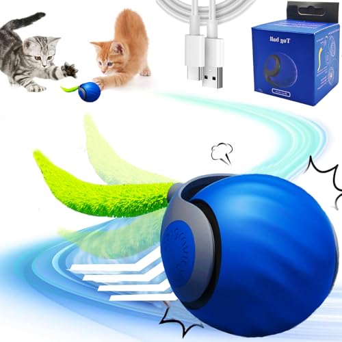 KOLGEIKJ Rolling Ball,Interactive Cat Toys (Orange) von KOLGEIKJ