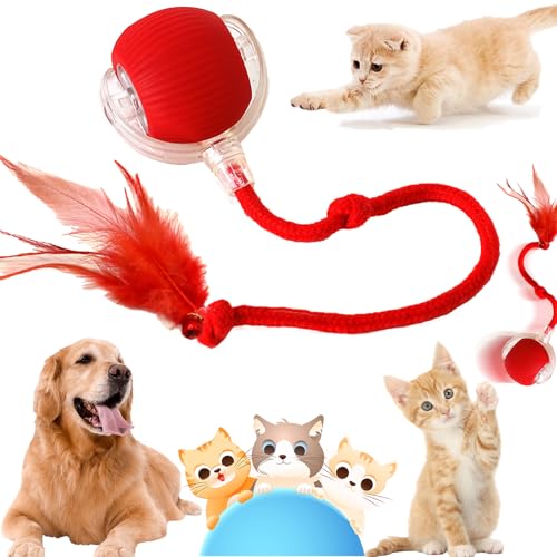 KOLGEIKJ Rolling Ball,Interactive Cat Toys (Yellow) von KOLGEIKJ