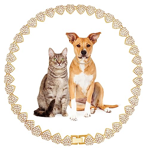 Glitter-Metall-kubanische Diamant-Hundekette Hundetrainingskette mit sicherer Schnalle Herzförmige Haustierhalsbänder für große mittelgroße Hunde von KOLODOGO