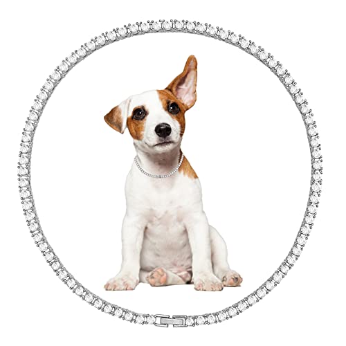 Hundehalsband Cuban Diamond Dog Chain 4mm Breite Pet Cuban Chain für Kleine Mittlere Große Hunde von KOLODOGO