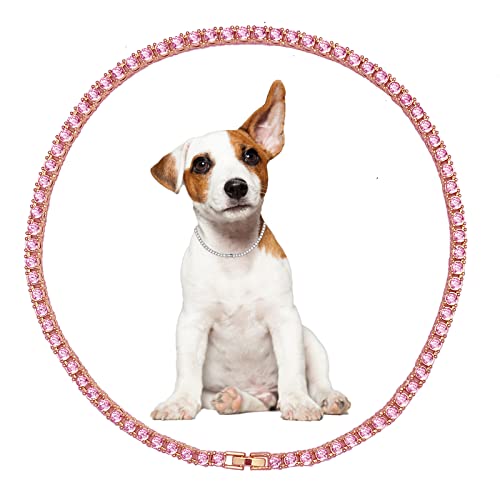 Hundehalsband Cuban Diamond Hundekette 4mm Breite Haustier Cuban Kette für kleine mittelgroße große Hunde von KOLODOGO