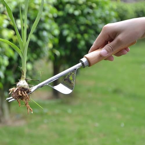 KOMUNJ Edelstahl Unkrautstecher, Hand Weeder mit Holz Stiel Manueller Weeder Gartenwerkzeug zum Graben, Jäten, Lösen, Geschenk für Gärtner Gärtnerinnen von KOMUNJ