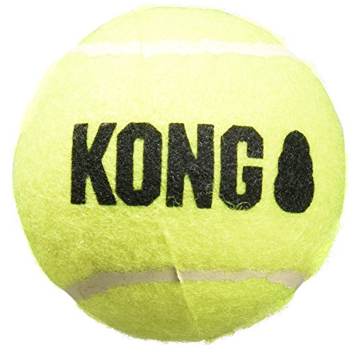 KONG Air Dog Squeakair Hundespielzeug, Tennisbälle, Medium, 3 Stück von KONG