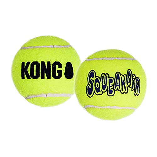 KONG Air Dog Squeakair Hundespielzeug, Tennisbälle, Medium, 3 Stück von KONG