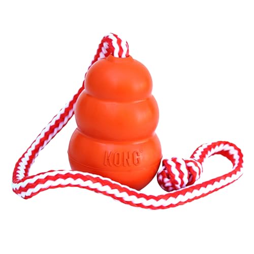 KONG Aqua Floating Fetch Toy - Hundespielzeug Für Wasser, Spiel und Training - Mit Schaumstoff-Innenseite und Wurfseil - Für Große Hunde - Orange von KONG