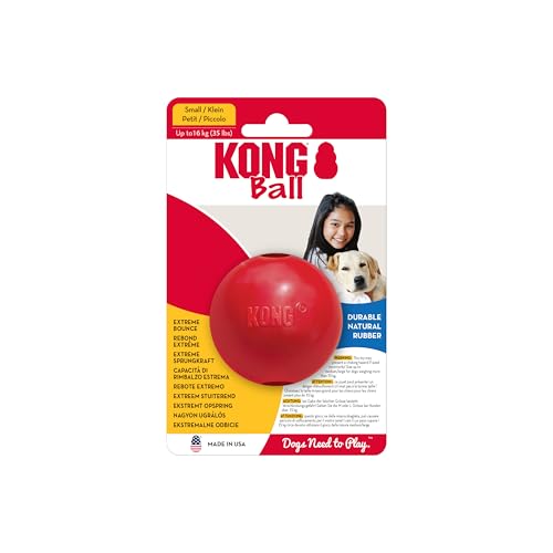 KONG Ball mit Loch - Hundespielzeug zum Apportieren - Klassischer Gummiball für Training und Spiel - Für Kleine Hunde - Rot von KONG