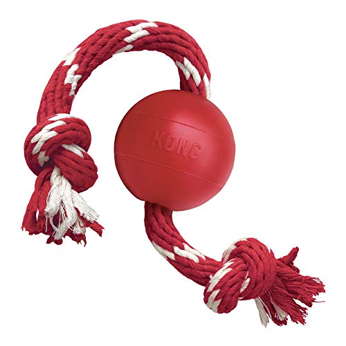 KONG Ball with Rope SMALL von KONG