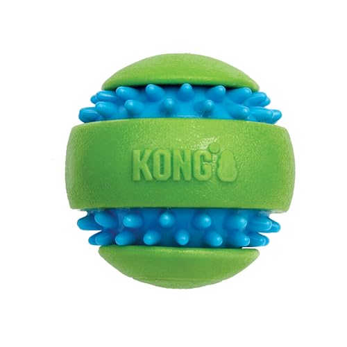 KONG Company 38749508: Squeezz Goomz Ball Hundespielzeug, Größe L von KONG