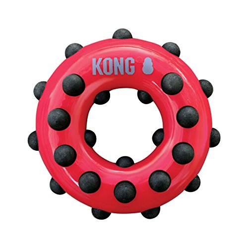 KONG – Dotz Circle – Hundespielzeug zum Kauen und zur Zahnreinigung – Für Kleine Hunde von KONG