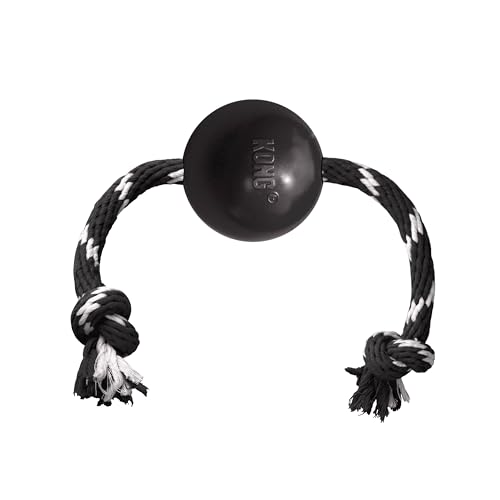 KONG Extreme Ball mit Seil Large von KONG