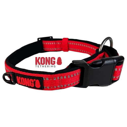 KONG Nylon Hundehalsband für große Hunde I Größe L I größenverstellbares Halsband Hund in rot I gepolstertes Halsband für Hunde mit Verschluss-Schnalle I reflektierendes Hundehalsband Nylon von KONG