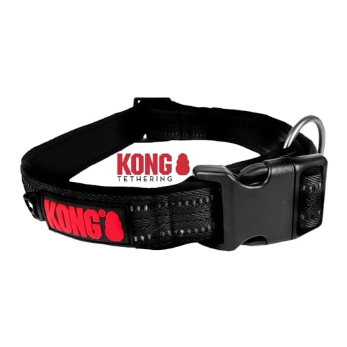 KONG Nylon Hundehalsband für mittelgroße Hunde I Größe M I größenverstellbares Halsband Hund in schwarz I gepolstertes Halsband für Hunde mit Verschluss-Schnalle I reflektierendes Hundehalsband Nylon von KONG