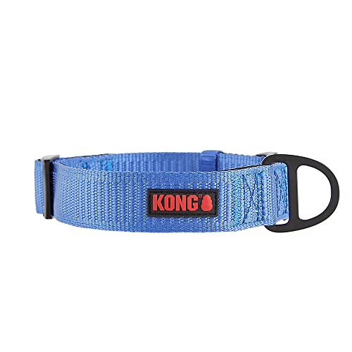 KONG Max HD Hundehalsband, Neopren, gepolstert, Größe XL, Blau von KONG