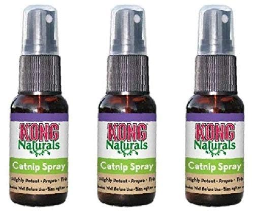 KONG Naturals Katzenminze-Spray, 3 Stück KONG Naturals Katzenminze-Spray, 3 Stück von KONG