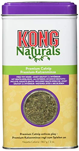 KONG Naturals Natürliche Katzenminze von KONG