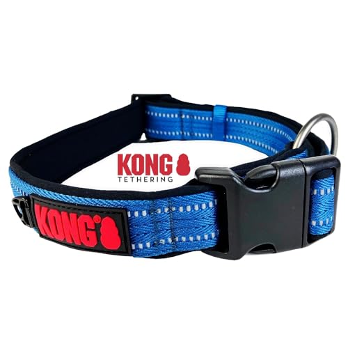 KONG Nylon Hundehalsband für kleine Hunde I Größe S I größenverstellbares Halsband Hund in blau I gepolstertes Halsband für Hunde mit Verschluss-Schnalle I reflektierendes Hundehalsband Nylon von KONG