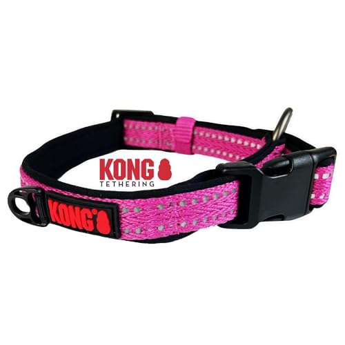 KONG Nylon Hundehalsband für kleine Hunde I Größe S I größenverstellbares Halsband Hund in pink I gepolstertes Halsband für Hunde mit Verschluss-Schnalle I reflektierendes Hundehalsband Nylon von KONG