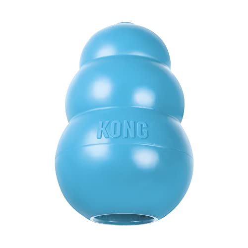 KONG Puppy Spielzeug für Hunde, EXTRA SMALL (1 Stück) von KONG