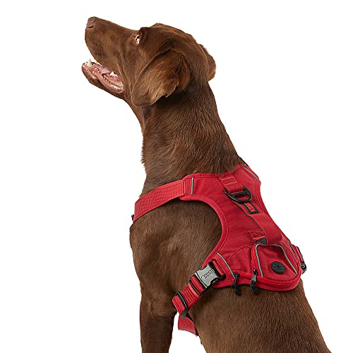 KONG Ultra Durable Waste Bag Harness (Small, Red) von KONG