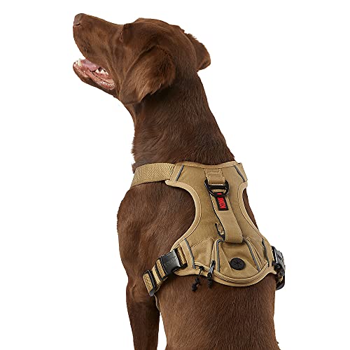 KONG Ultra Durable Waste Bag Harness (Small, Tan) von KONG