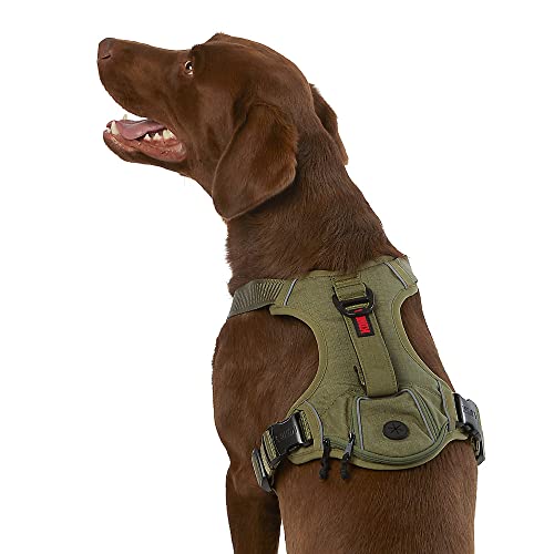 KONG Ultra Durable Waste Bag Harness (XL, Grün) von KONG