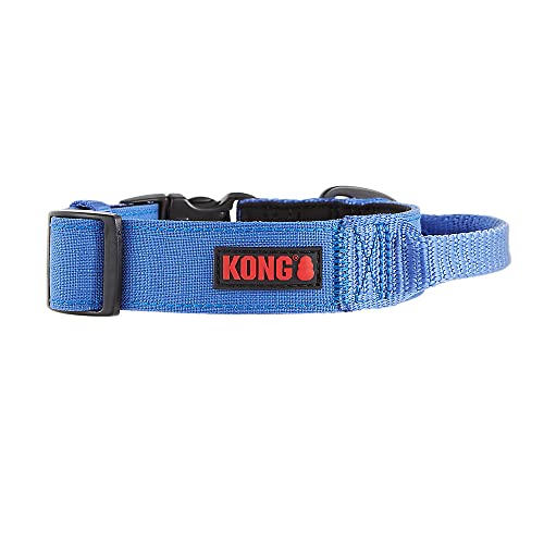 KONG Ultra-strapazierfähiges, gepolstertes Hundehalsband mit Komfortgriff, Größe M, Blau von KONG