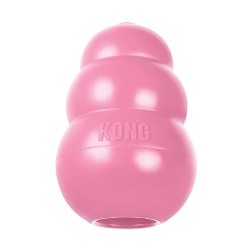 KONG - Welpenspielzeug für mittelgroße Hunde (Rosa) von KONG