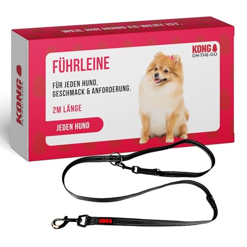 KONG robuste Hundeleine aus Nylon I schwarz I dreifach verstellbare Leine Hund I hochwertige Hundeführleine mit reflektierenden Elementen I Führleine Hund I Länge: 2 m I Breite: 25 mm von KONG