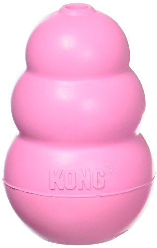 KONG Hundespielzeug, Kau-Spielzeug, Puppy-Teething-Chew-Toy, Medium, 1 Stück, Blau von KONG