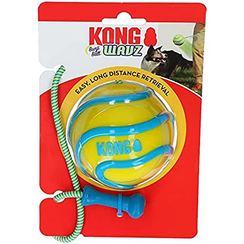 Kong WAVZ BUNJIBALL M von KONG