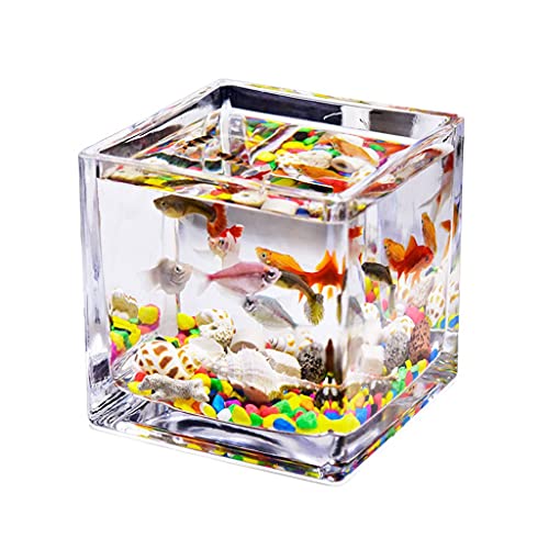 Goldfisch Tank,Schildkröte Tank, Quadratisches transparentes Glas Mini-Aquarium for den Haushalt im Büro Wassergrastank Betta-Fische Zierfische Kleines Aquarium(3.94IN) von KONKGOOU