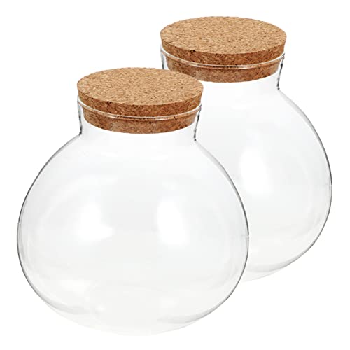 2st Ökologische Mikrolandschaftsflasche Draussen Blumentopf Blase Luftpflanze Großes Terrarium Klar Mikro-landschaftsbau-Container Birne Aquarium Wünscht Flasche Glas KONTONTY von KONTONTY