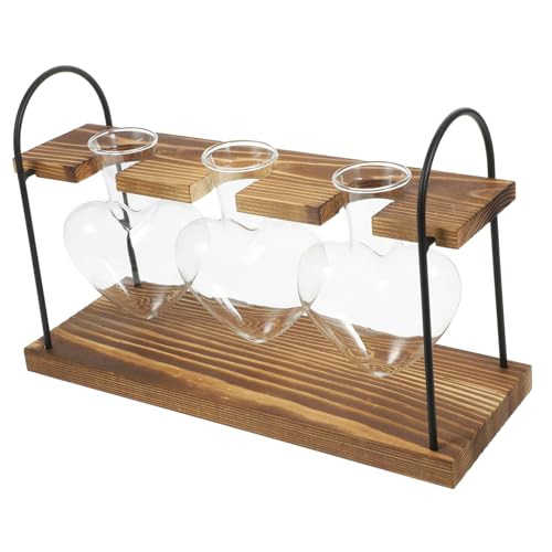 KONTONTY 1 Satz Einmachgläser Wasserpflanzer Halter Für Luftpflanzen Pflanzenterrarium Drinnen Pflanzenhalter Blumenpflanzenterrarium Mit Holzständer Hydroponischer Indoor-Garten Glas von KONTONTY