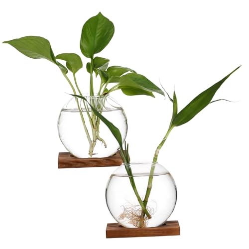 KONTONTY 2 STK Kreative Vase Vermehrungsvasen Für Pflanzen Pflanzenterrarium Vermehrungsgefäße Blumenarrangements Tischvase Klare Vase Blumenhalter Für Tafelaufsätze Glas Transparent von KONTONTY