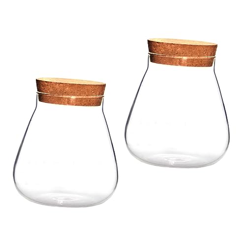 KONTONTY 2 stücke Vase Glas Flasche Terrarium Anlage Nährende Landschaft Decor von KONTONTY