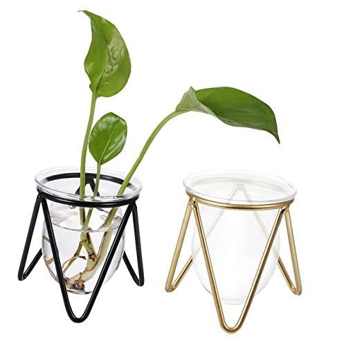 KONTONTY 2er Set Klarglas Pflanzgefäß Mit Geometrischem Design Und Metallständer Für Hydroponik Pflanzen Ideal Für Wohnraumdekoration Transparentes Blumenvase Für Blumen Und Pflanzen von KONTONTY