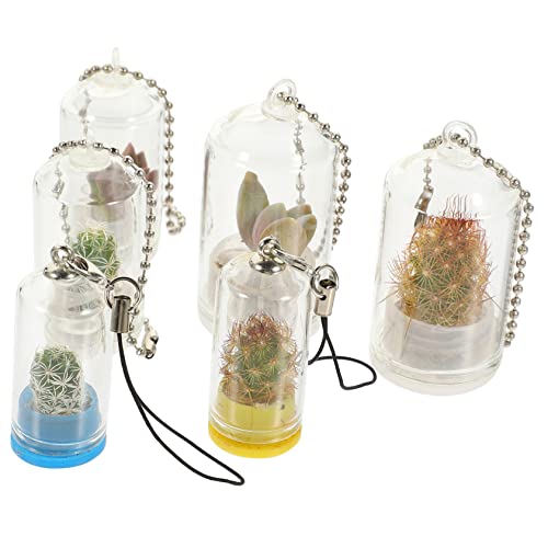 KONTONTY 6st Schlüsselanhänger Hängendes Terrarium Kuppel Vitrine Hydrokulturvase Hängende Blumentöpfe Mini-töpfe Fläschchen Charme Saftiges Terrarium Klare Blumenvase Winzige Behälter Glas von KONTONTY