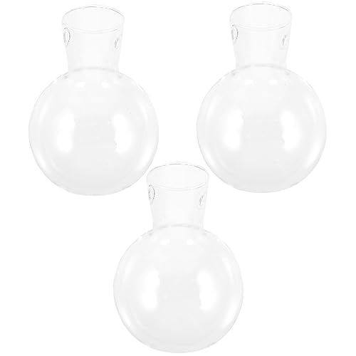 KONTONTY Hydroponische Glasvase Mit Halter Tischdeko Pflanzenbehälter Hochborosilikat Vase Für Indoor Pflanzen Moderne Blumenvase Für Wohnung Und Büro Deko von KONTONTY