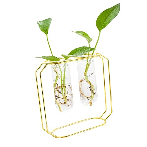 KONTONTY Stylische Iron Art Blumentopf Vase Für Wasserpflanzen 2 Teiliges Set Mit Glasbehältern Zur Modernen Dekoration Von Wohnzimmer Büro Und Tisch von KONTONTY